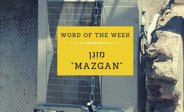 Cheap mazgan in Israel. Part 3